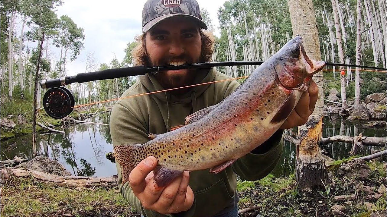 24 Hours Eating Only What I Catch w/ a Fly Rod YouTube