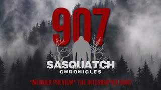 SC EP:907 The Interrupted Hunt [Members] PREVIEW