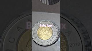 9fingercoin,Canadian coin,2010 loonie, #coincollecting #coin #chicagocoin #coincollectinghobby