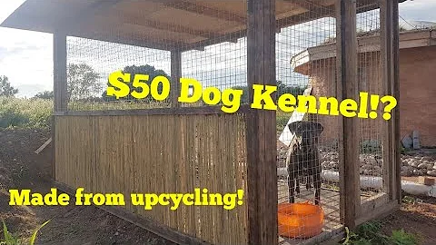 How to build a Dog Kennel for Under $50, DIY Dog cage for a big Dog! - DayDayNews