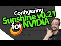 Configuring sunshine v021 for nvidia gpus in depthexplainer