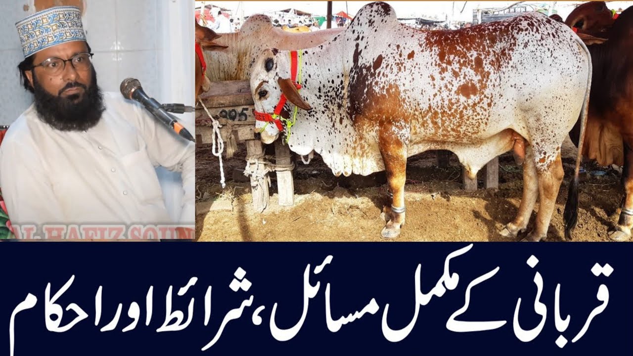 Qurbani Ki Mukammal Sharait Aur Masail Aur Ahkam | By Syed Waqar Haider Shah