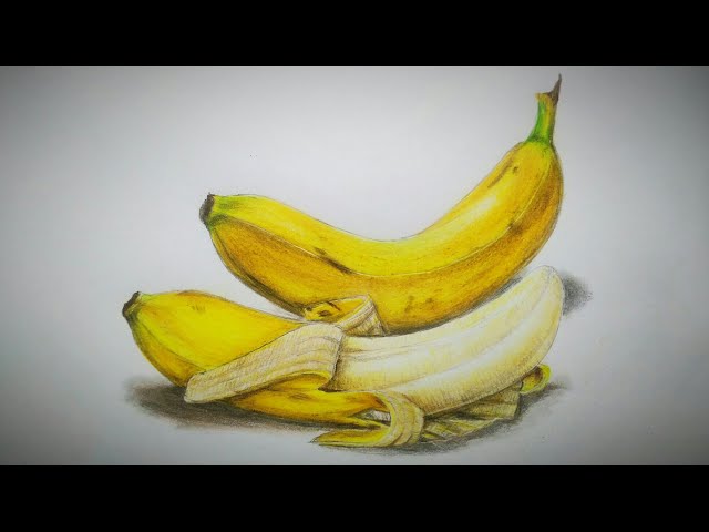 Realistic Banana Drawing Art Print, 41% OFF | wikidiff.com