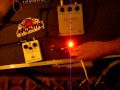 Electro-Harmonix Big Muff Ram&#39;s Head &amp; D*A*M Ram Head