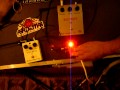Electro-Harmonix Big Muff Ram's Head & D*A*M Ram Head