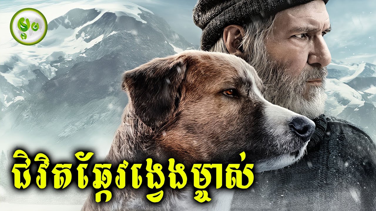 ជិវិតឆ្កែវង្វេងម្ចាស់ | ម្អម សម្រាយរឿង