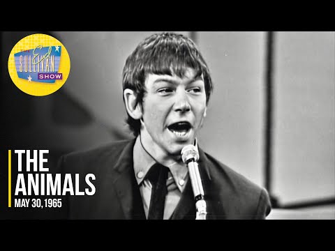 The Animals "Bright Lights, Big City" on The Ed Sullivan Show