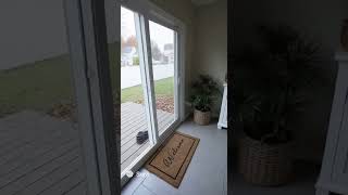 Giant Cat Attack! 😱 OpenAI Sora ने क्या बना दिया?