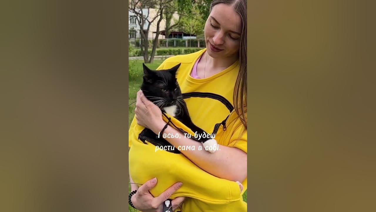 #котожама #котики #cat #зоотовари #кіт - YouTube