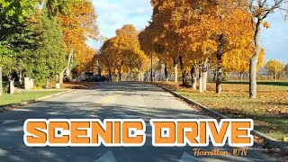 Driving Scenic Drive  Hamilton