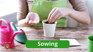 ColtivApp - Your app for managing crops screenshot 4