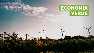 Como podemos definir economia verde de um exemplo de ação que você pode fazer para contribuir com a economia verde?