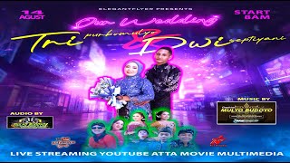 🔴LIVE RESEPSI PERNIKAHAN TRI PURBOMULYO & DWI SEPTIYANI//MULYO BUDOYO CAMPURSARI//MULYO BUDOYO AUDIO