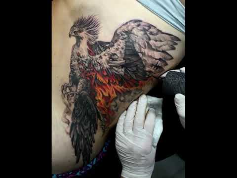 Video: Phoenix թռչուն Ֆենգ Շուիում