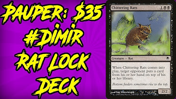 #BUGET DECK CHECK: #Pauper: $35 #Dimir Rat Lock Magic The Gathering Deck