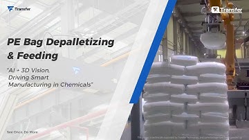 TRANSFERTECH_ Intelligent Bag Depalletizing with 3D Vision Guided