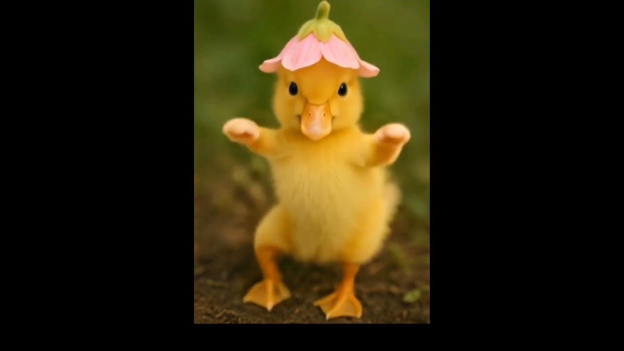 Baby Duck in Flower Hat Dancing #funny #short #duckdancing