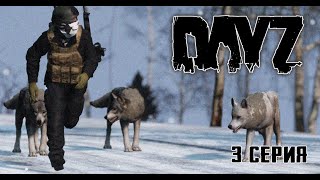 видео: СО СМЕРТЬЮ НАПЕРЕГОНКИ. СЕРИЯ 3 (DayZ TLD) картинка: СО СМЕРТЬЮ НАПЕРЕГОНКИ. СЕРИЯ 3 (DayZ TLD)
