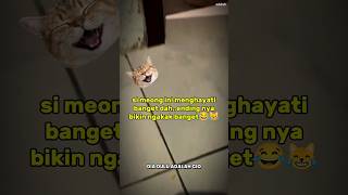 Si oyen lagi sedih banget😭😹 #animalintelligence #shorts #cat #cute #funnyvideo #funnycats #foryou