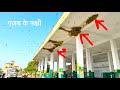 गज़ब के कारीगर ये पक्षी || Shahpura bus stand