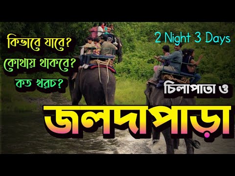 ভিডিও: Pālāʻau স্টেট পার্ক: সম্পূর্ণ গাইড