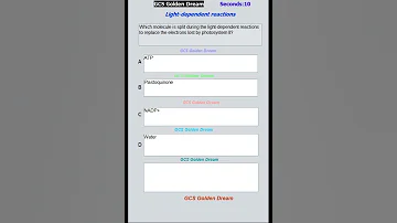 Light Dependent Reaction 71 | Quiz & Prep Guide | @GcsGoldenDreamExam