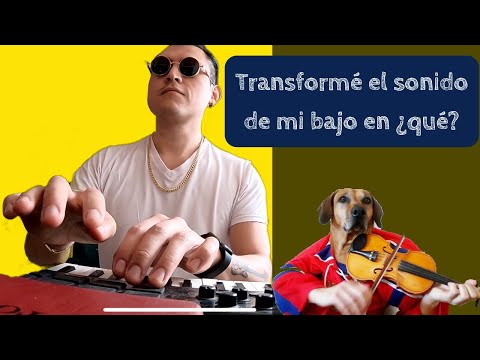 Transformando el sonido de mi bajo por medio de Inteligencia Artificial (y la ayuda de Google)