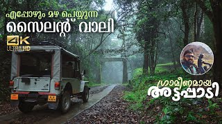 Silent Valley Rain forest | Beauty of Attapady by Pikolins Vibe 1,299,707 views 8 months ago 23 minutes