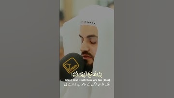 Raad Al kurdi Whatsapp status with Urdu English translation|رعد الكردي حالات واتس اب|سورة النحل