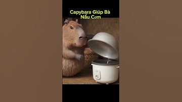 Capybara Giúp Bà Nấu Cơm #capybara