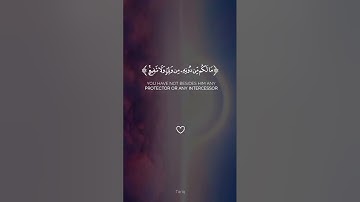 تلاوة هادئة القارئ عبدالرحمن مسعد #اكتب_شي_تؤجر_عليه #سورة السجدة