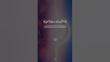 تلاوة هادئة القارئ عبدالرحمن مسعد #اكتب_شي_تؤجر_عليه #سورة السجدة