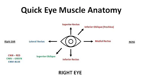 Cranial Nerve Palsy for CN III, IV, and VI for USMLE/COMLEX
