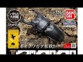 『くわがた 03』いきもの大図鑑 ガチャポン ガチャガチャのコンプ開封動画