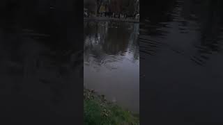 парк культуры и отдыха Брест
