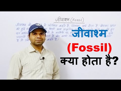 वीडियो: मूंगा किस प्रकार का जीवाश्म है?