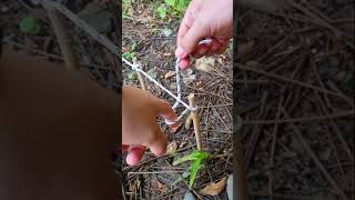 Popular Knot - Simple and Strong !