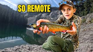 Backpacking & MOUNTAIN TROUT Fishing! (Catch, Cook & Camp)