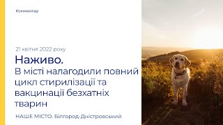 В Білгороді-Дністровському налагодили повний цикл стирилізації та вакцинації безхатніх тварин