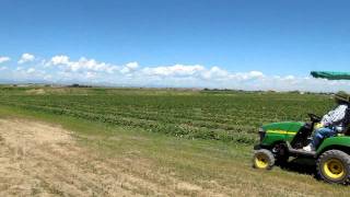 Berry Patch Farms in Brighton Colorado