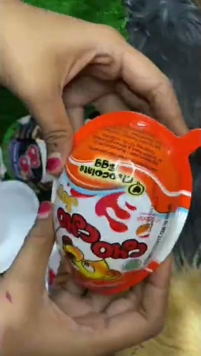Membeli mainan baru / telur viral /telur berhadiah part 1 #shorts #binatanglucu #viral #telurviral