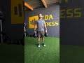 KETTLEBELLS CARRY HOLD