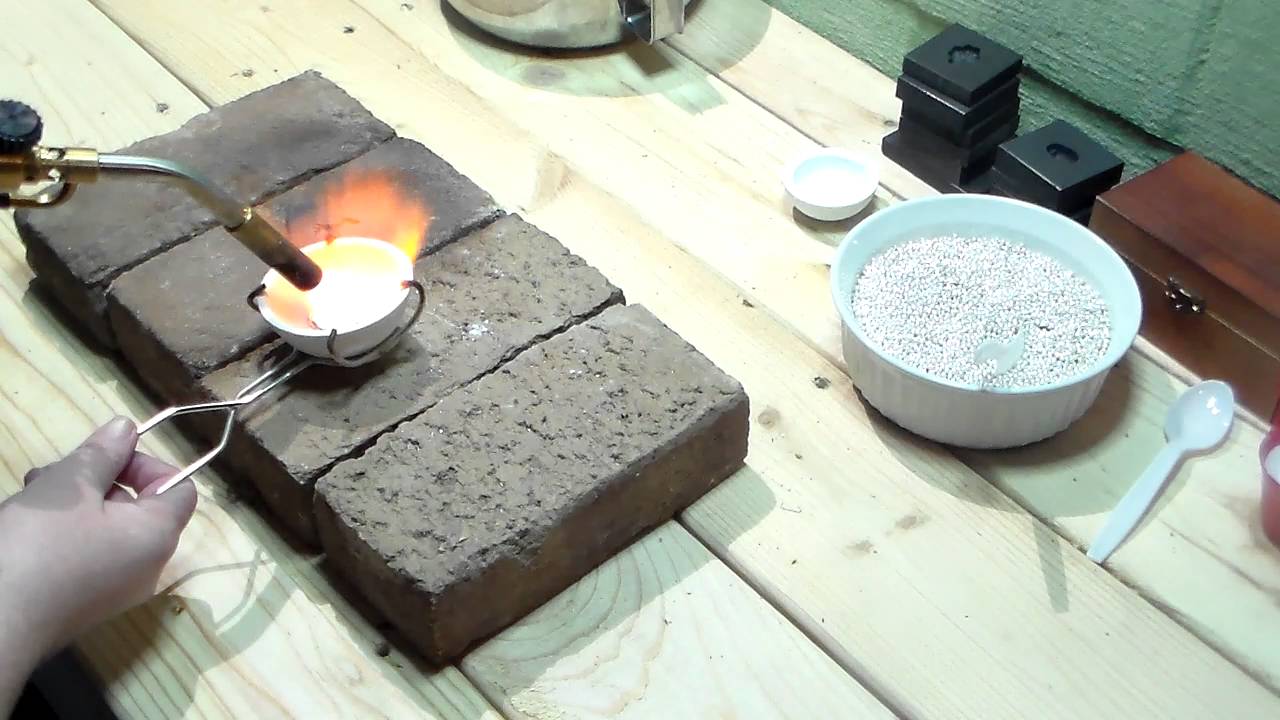 Birth of the Mossy Nut Buck