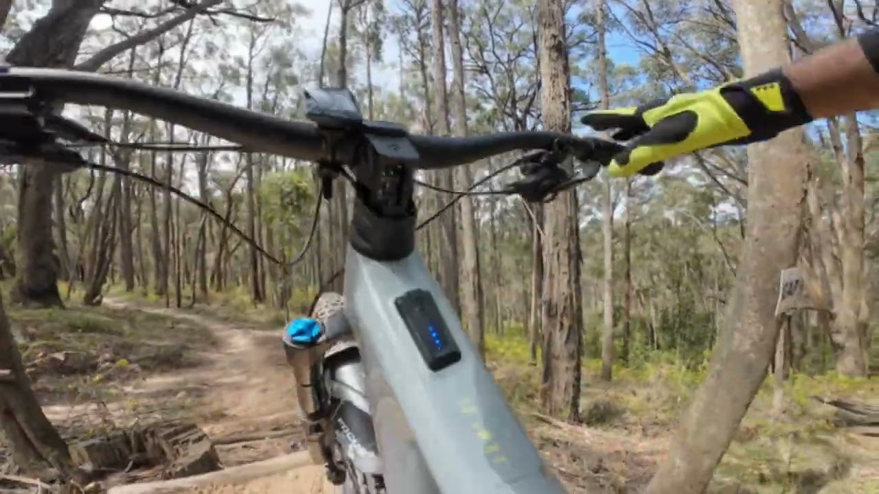 Igor, Huck 2 Flat & Top Gun - Silvan