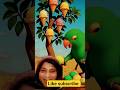 parrot plants a ice cream tree in desert and feeds to all animals 😱|parrot |facts |greenparrot |