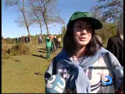 ხის დარგვის საერთაშორისო დღე აღინიშნეს ქობულეთში