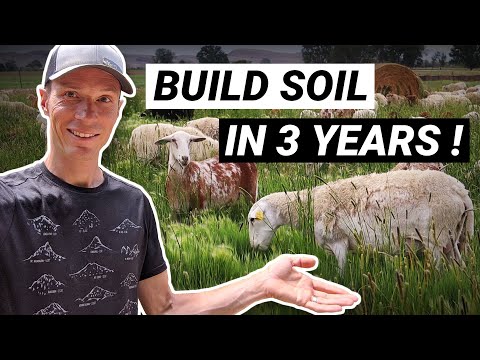 Topsoil: Sheep Farm Builds Soil in Only 3 Years!