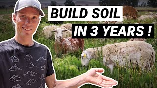 Topsoil: Sheep Farm Builds Soil in Only 3 Years!