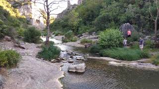 Engin Nurşani. Mutlu musun.