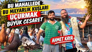 Bu Mahallede Bu Milyarlık Kuşları Uçurmak Büyük Cesaret - Ahmet Kaya